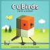 Cubirds - Winnaar Familiespel N.S.P.