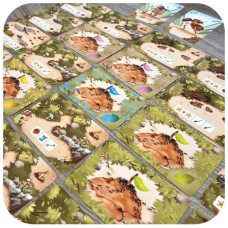 Antscape kaartspel - Jolly Dutch