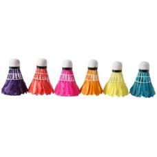 Badminton shuttles feathers colour 6 in tube