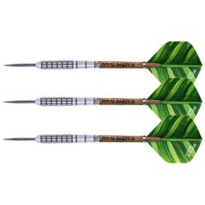 Darts Victory 21 gr. Green Line NT 80