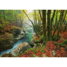 Heye 1000 Nature