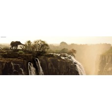 Puzzel Elephant 1000 Panorama Heye 29287