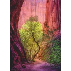 Puzzel Singing Canyon 1000 Heye 29944