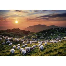 Puzzel Sheep Volcanoes 1000 Heye 29977